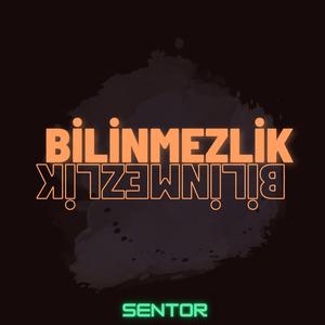Bilinmezlik