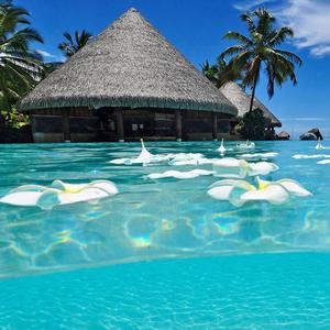 Maldive (feat. Alex01AL)