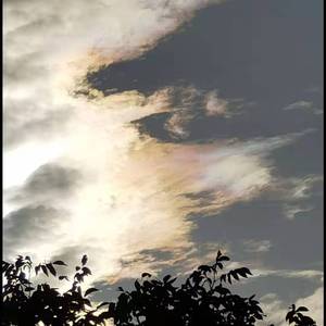 白羊（Cover 沈以诚 徐秉龙）