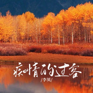 痴情的过客 (DJ版)