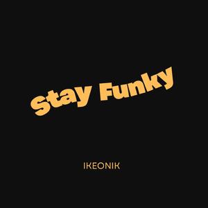 Stay Funky (Instrumental)