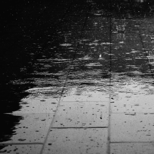 Rain in a Barrel