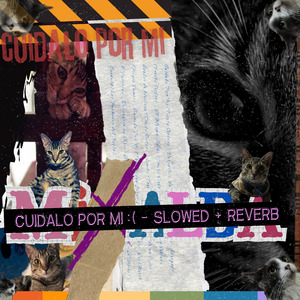 Cuídalo Por Mi :( (Slowed + Reverb)