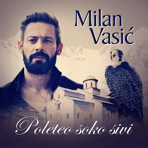 Poleteo soko sivi