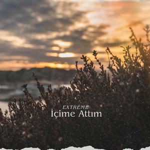 İçime Attım