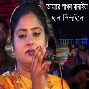আমারে পাগল বানাইয়া ছালা পিন্দাইলো