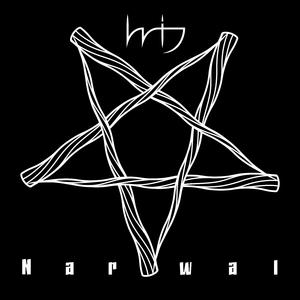 Narwal
