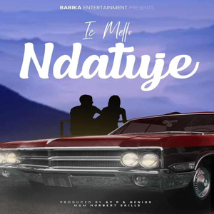 Ndatuje (hubert skills)