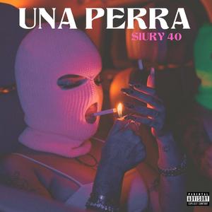 Una Perra (feat. MiyaggyProd & WNU Music)