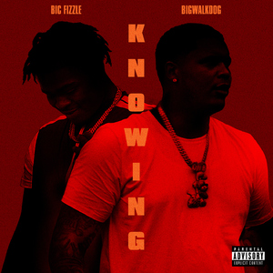 Knowing (feat. BigWalkDog)