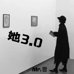 她3.0