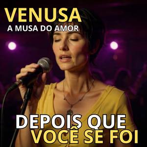 Depois que Você se Foi