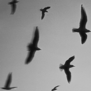 SORE (Prod by Dawn）