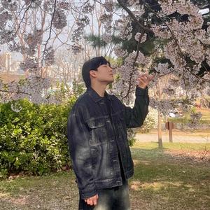 봄이 불었고 꽃잎이 날려