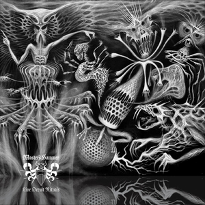 Ve Vezi Ticha (Live)