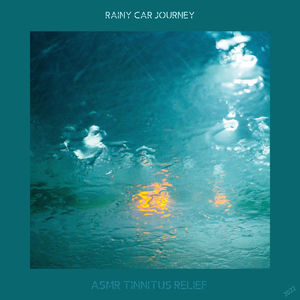 Tinnitus Relief, Rainy Car Sounds 39