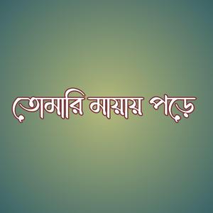 তোমারি মায়ায় পড়ে