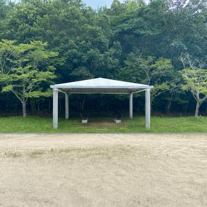 Under The Little Stars