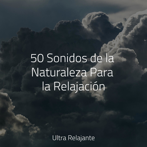 Brisa A Través De Las Edades