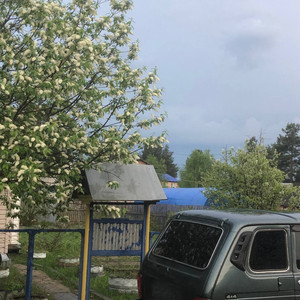 Before the Rain
