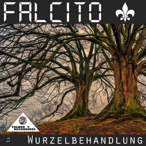 Schnellkochtopf