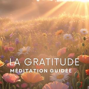 La gratitude envers les autres (tapping)
