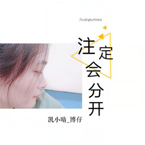 注定会分开 (伴奏)