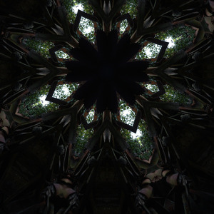 As sonic tendrils caress with subtle care
