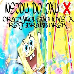 NEJDU DO OXU (feat. REY BRAMBŮREK)