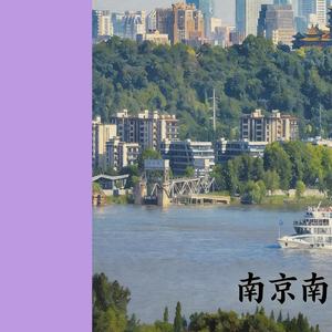 南京南