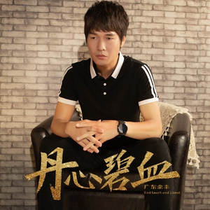 丹心碧血-DJ大金版 (男声)