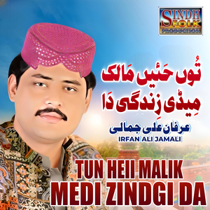 Tun Heii Malik Medi Zindgi Da