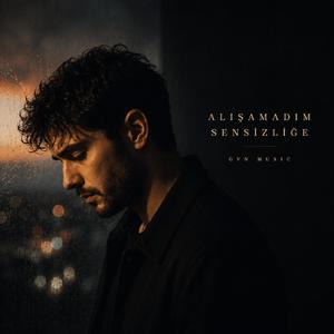 Alışamadım