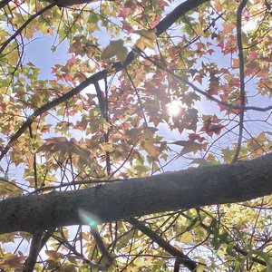 Tidal Memories_backup