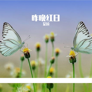 即使孤独依旧前行