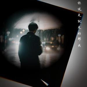 你说走就走的那天