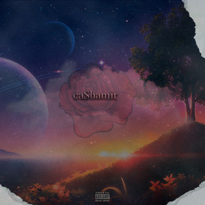 Запутанный в сетях