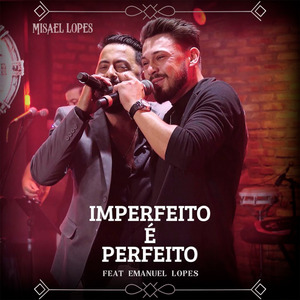 Imperfeito É Perfeito