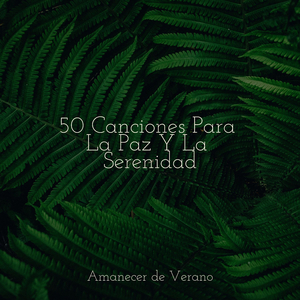 Ecos de una Solitud Fructífera