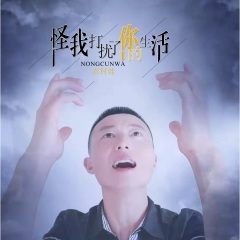 孤独的人喝着孤独的酒 (DJremix版)