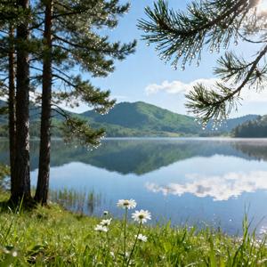 特别的爱给特别的你