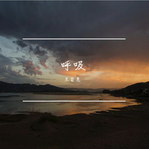 Respire呼吸（翻自 Tizzy T）