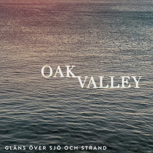 Gläns över sjö och strand