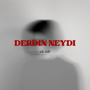 Derdin Neydi ?