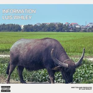 Information