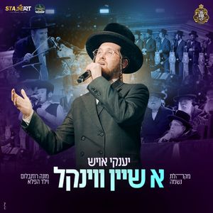 א שיין ווינקל