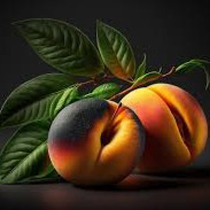 Peaches