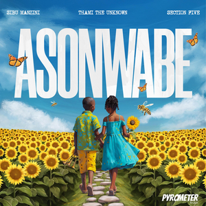 Asonwabe