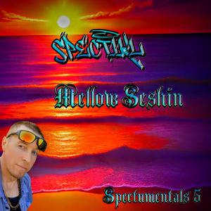 JUST_A_CHANCE_AT_FOREVER