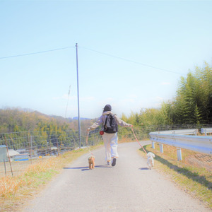 日常とパレード